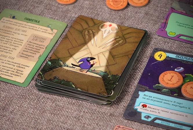 Дикое приключение